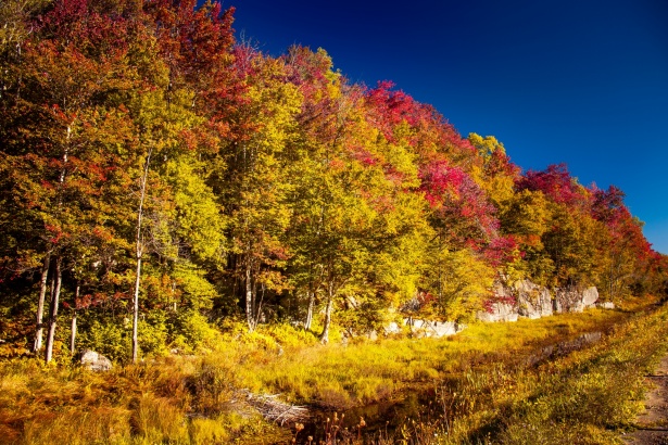 fall landscape